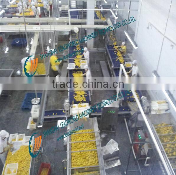 professional and factory price orange canned production line