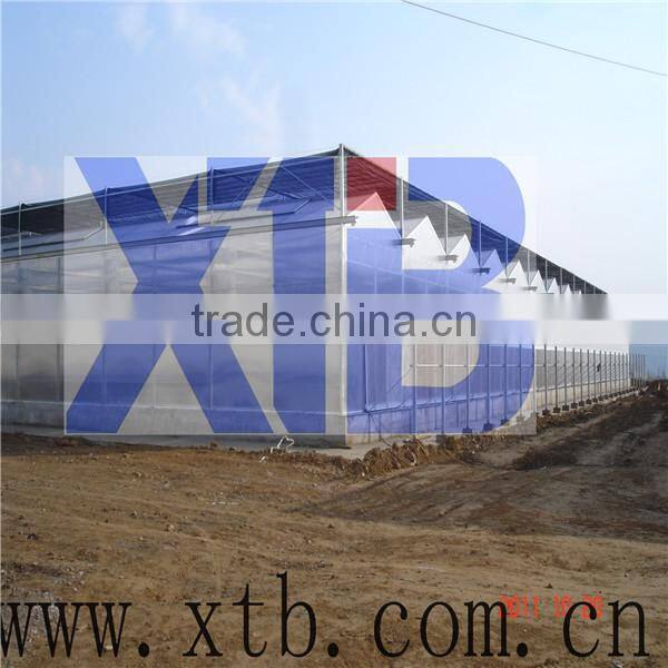 Single layer plastic film multi-span greenhouse