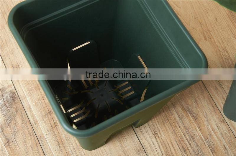 Chinese Rose Flower Pot