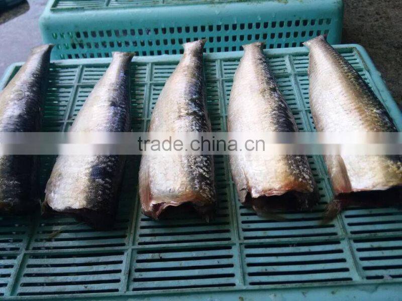 frozen Sardine HGT with competitive price China origin