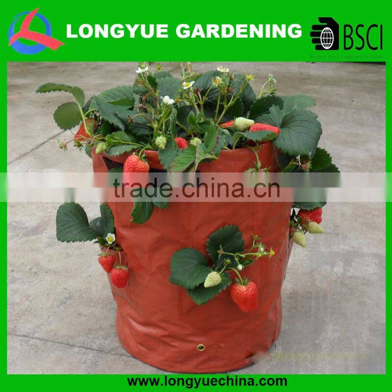 garden planter bags for strawberry
