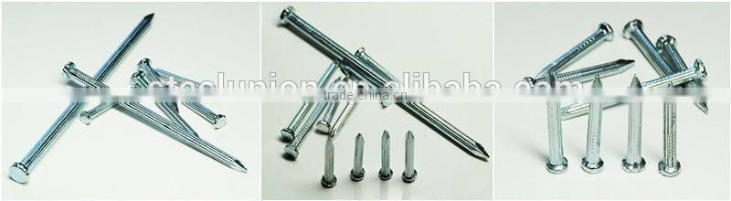 galvanized concrete steel nail/concrete nails/steel nail