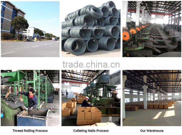 China factory supply umbrella head roofing nails