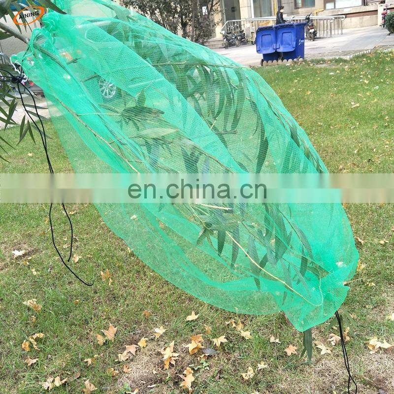 plastic mesh bag for harvesting the dates and the mangos