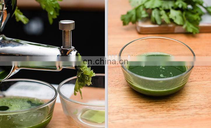 Juice extractors wheatgrass juicers 008618037126904