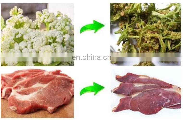 China hot sale egg yam catfish drying machine with tray