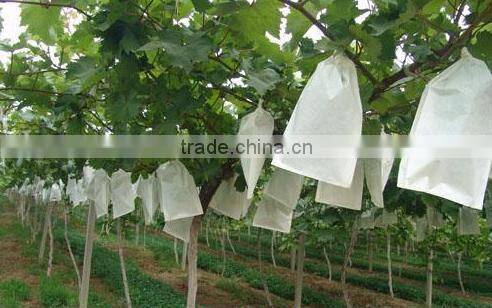 Factory price different size fruit growing bag