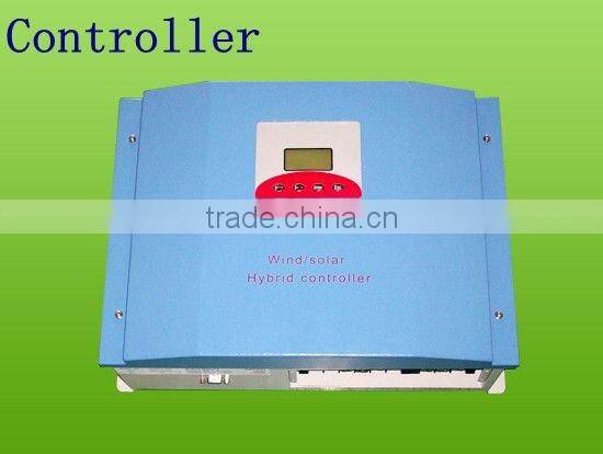 garden windmill crafts