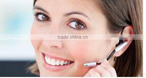 palisade fence / euro fence