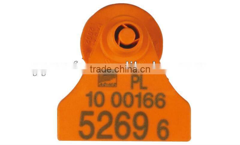 Cattle ear tag you select color we do it for you ear tag