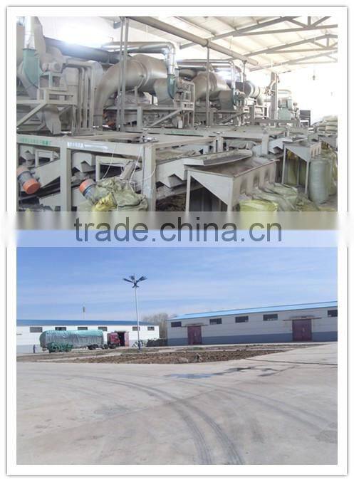 inner mongolia sunflower kernels(confectionary kernel and bakery kernel)