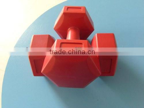 8LB plastic dumbbell