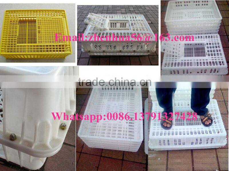 transport cage chicken