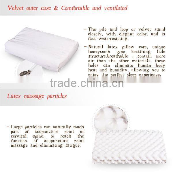 Woof Teeth Particles Massage Natural Latex Pillows