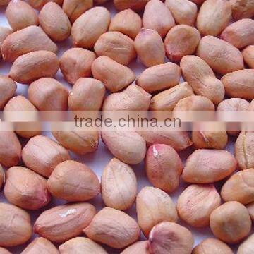 Seaflower type peanut kernel