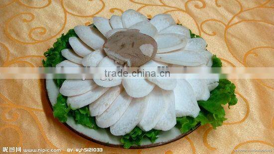 China king food pleutrous eryngii mushroom slice