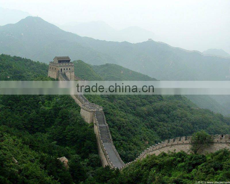 Organic Roasted Chinese Chestnuts