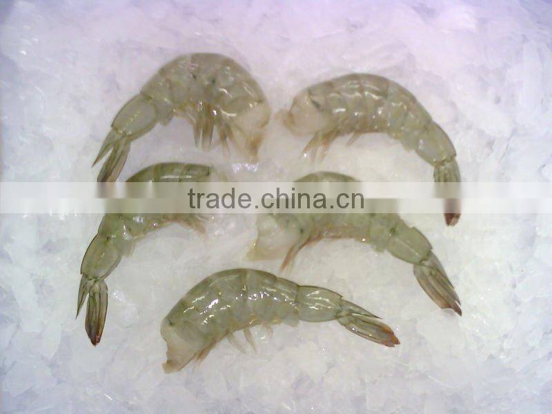 Frozen vananmei Shrimp Penaeus Vannamei
