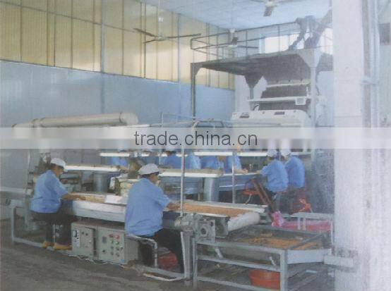 Chinese new crop blanched peanut kernel wholesale