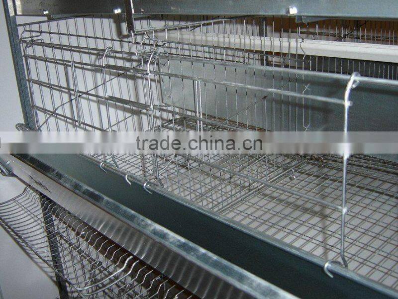 automatic chicken cage