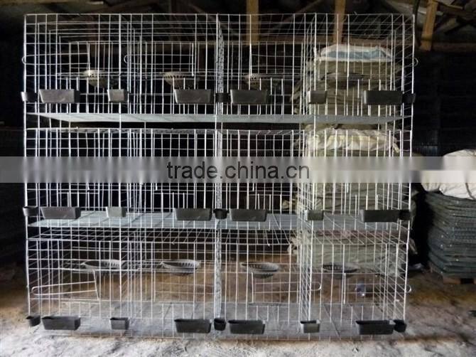 3-layer chicken layer cage price