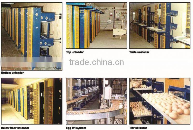 Modern Industrial Scale Broiler Cage with Long Height