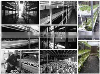 Aluminum extrusion profile planting frame fungi planting frame with nice shape