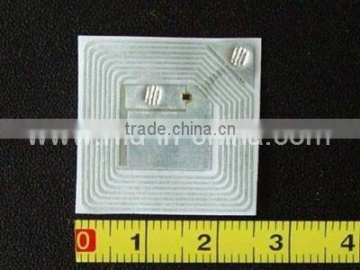 Passive LF 125KHz RFID worm Tag