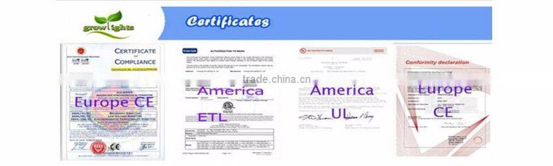 1000W MH/HPS Wide Voltage 110V 120V 208V 240V 277V Lamp Electronic Dimmable Ballast