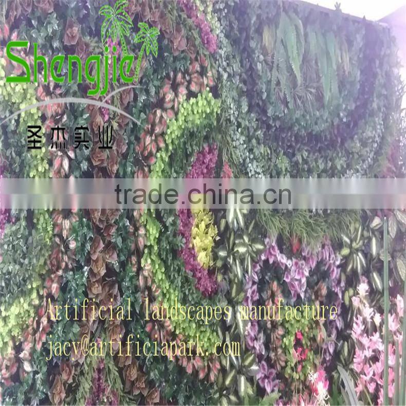 coconut trees pyrene