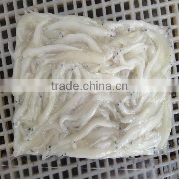 silver fish and well export of frozen fish