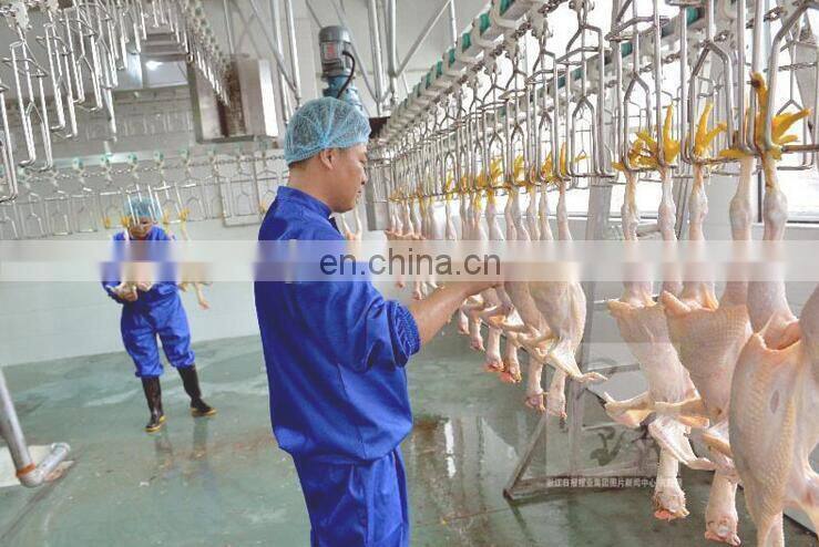 Muslim chicken slaughter machine for sale/ conveying line/ bloodletting