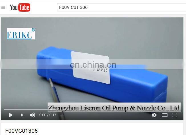 ERIKC pump valve F00V C01 306 , F00VC01306 auto fuel pump valve F ooV C01 306