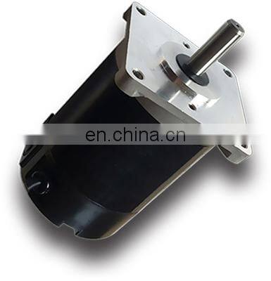 12V  0.2Nm  3000 RPM Chinese OEM  High Speed  Low Torque Ultra Durable  Totally Enclosed Mini DC Electric Motor  BMM3621E