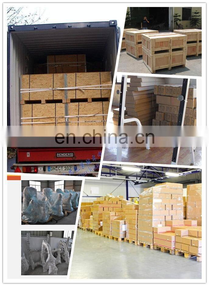 Crossfit fitness equipment rig for body building