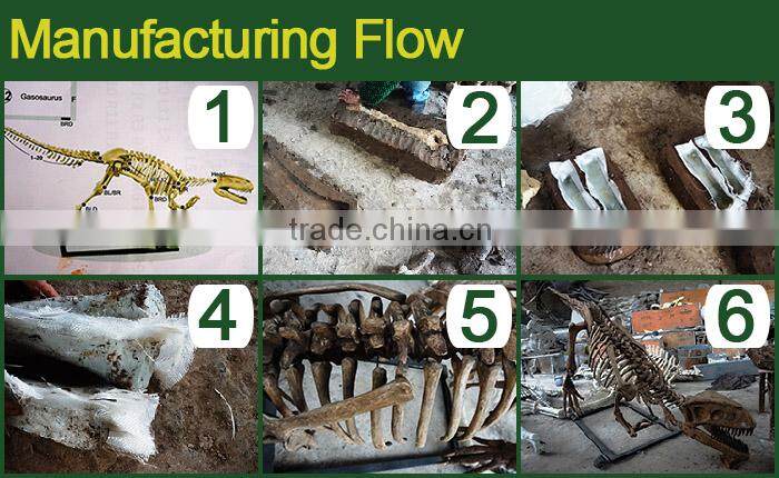 Lisaurus-J High quality dinosaur skeleton exhibit models for sale