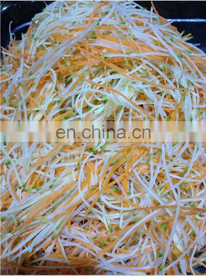 Japan imported multifunctional DM-91D julienne Robo