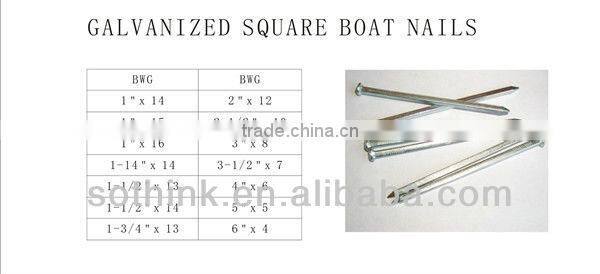 Low price Galvanized Square Boat Nail supply