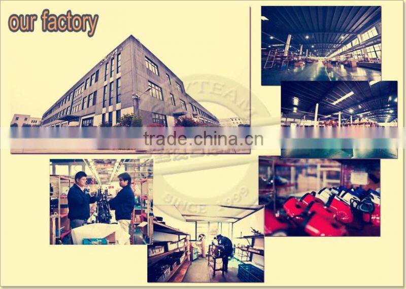 SKYTEAM SKYMINI 50cc&125cc 4 stroke monkey dax on road motorcycle (EEC EUROIII EURO3 approval, 10' alloy rim, monkey)