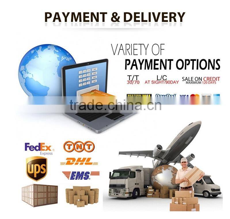 For Pakistan 10A/20A Charging Current 700w home ups