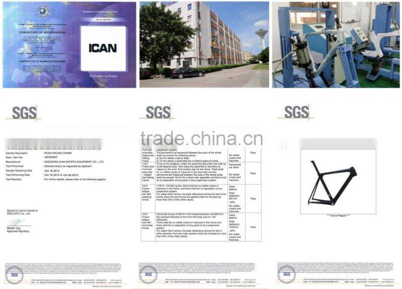 new arrival 26er fat frame BB100mm rear 190mm carbon complete fat bike