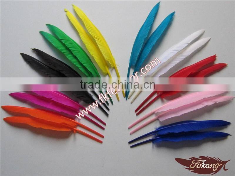 Natural Artificial Hobby Lobby Peacock Feathers