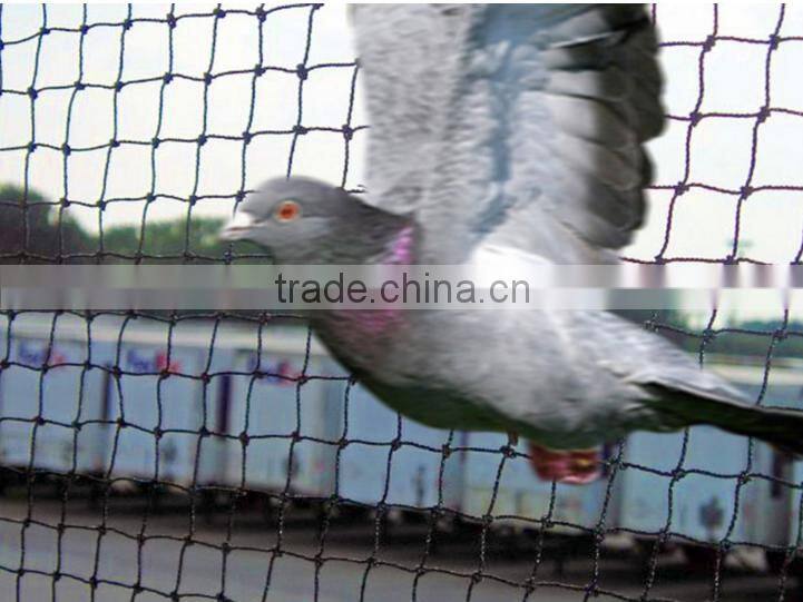 25' X 50' Net Netting for Bird Poultry Aviary Game Pens