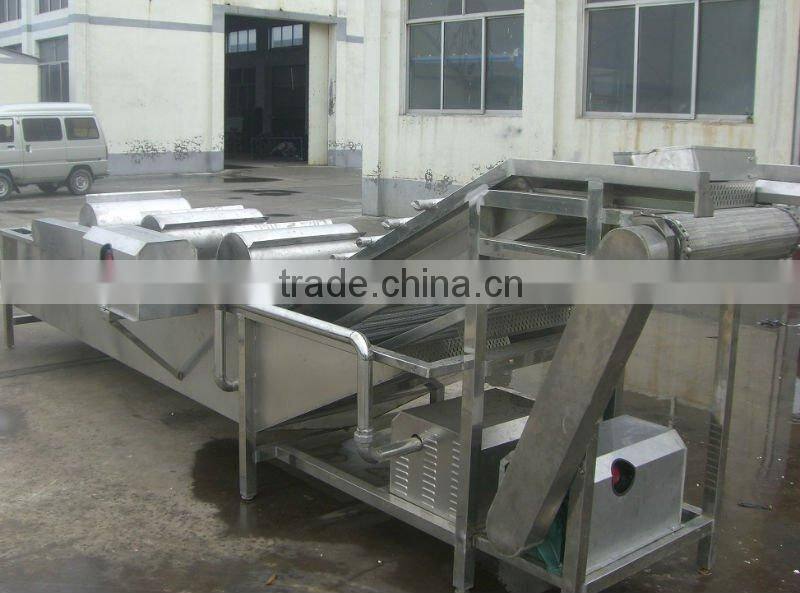 Strawberry processing line