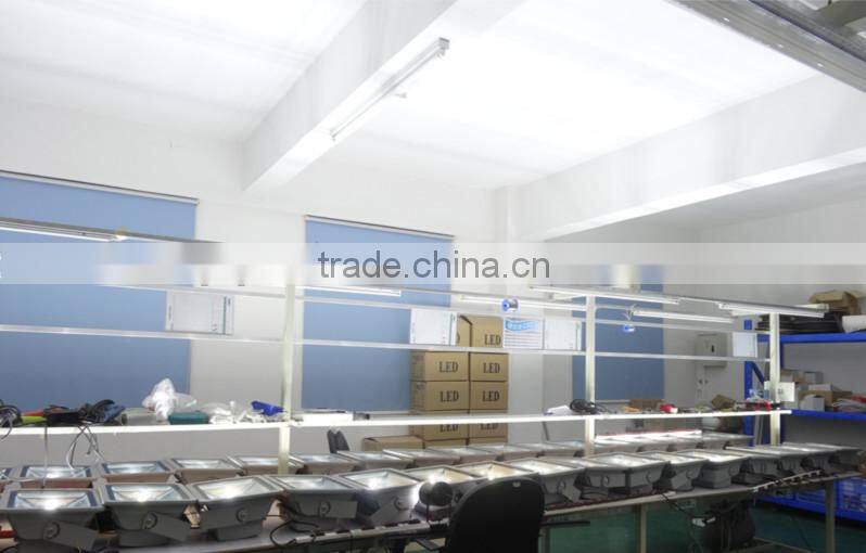 Bridgelux Chip CE / RoHS 300W LED flood light