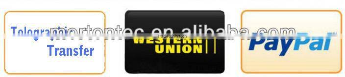 High Quality Led Drl 4000C27520 for Santana