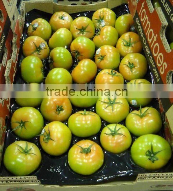 Fresh Peach Tray/Packaging For Fruits in food grade