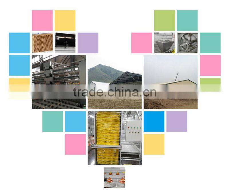 Steel Structure Construction