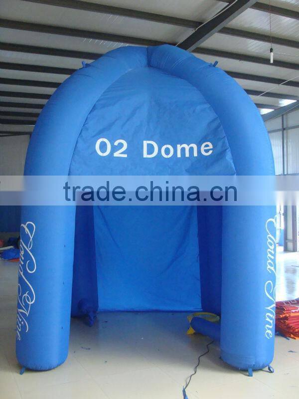 Giant Inflatable House