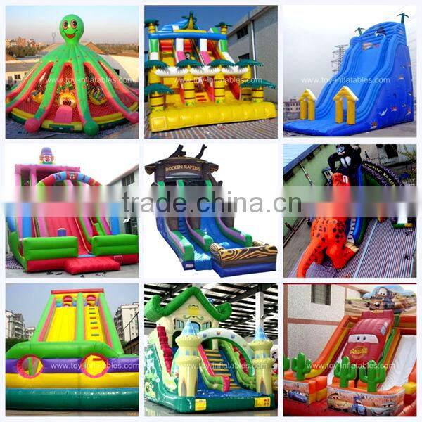 Classic design cheap inflatable noah's ark slide